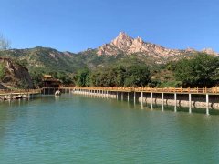 王哥庄街道扎实推进乡村生态、产业、组织、人才、文化振兴，书写乡村振兴战