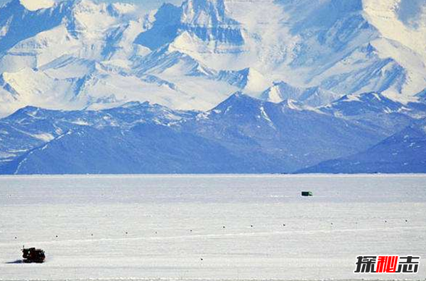 人在南极洲怎么生存?关于南极洲的12大趣闻趣事