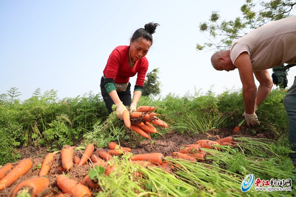 3年获4个国家级“身份证” “地标力量”助推晋