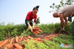 3年获4个国家级“身份证” “地标力量”助推晋