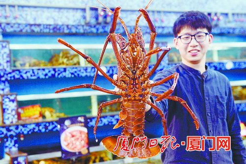 搭建“殿企朋友圈” 湖里区殿前街道新阶联产业联合会成立