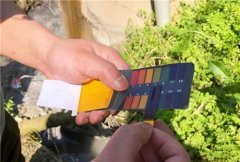 罚款207万元，22家公司被责令整改环境违法行为