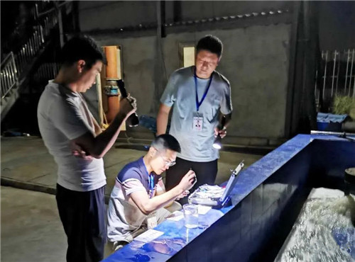 罚款207万元，22家公司被责令整改环境违法行为