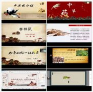 辽宁科技学院第五届中医药养生知识竞赛圆满结