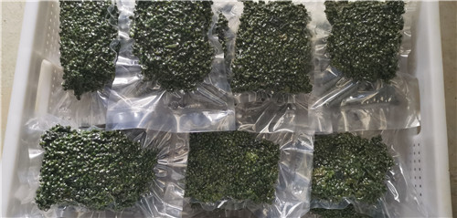 “直播带货+现场订货” 阆中餐饮、烹饪协会助农卖花椒