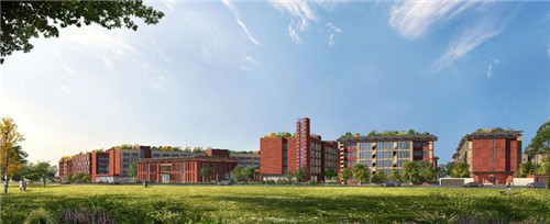 政险企联动养老新模式亮相温江 国寿健投携手万