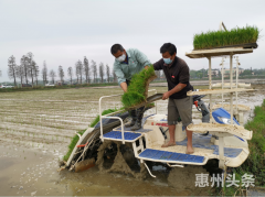 惠州一农企获全国“最美绿色食品企业” 全省仅
