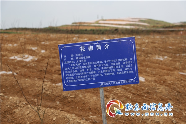 梁承祥一行到镇远调研农业产业和关工委工作