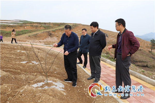 梁承祥一行到镇远调研农业产业和关工委工作