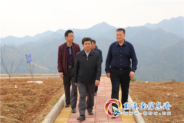 梁承祥一行到镇远调研农业产业和关工委工作