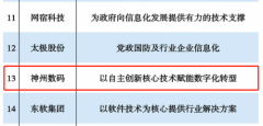 入选2020电子政务提供商50强！神州数码以云为器
