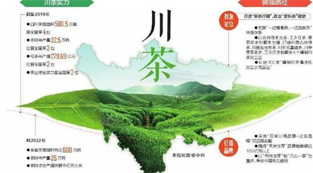 中国茶产业白皮书 精品茶消费大市场 普洱茶市局