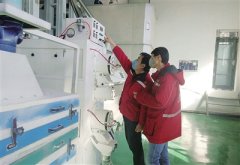 产业带动，生态宜居，乡风文明——阿荣旗：绘就乡村振兴新画卷