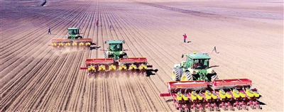 产业带动，生态宜居，乡风文明——阿荣旗：绘就乡村振兴新画卷