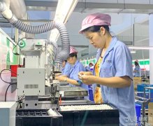 洛阳镇岑村村：产业兴旺，强村富民“比翼双飞