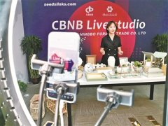 首届网上广交会观察：乘云而起 宁波外贸企业“