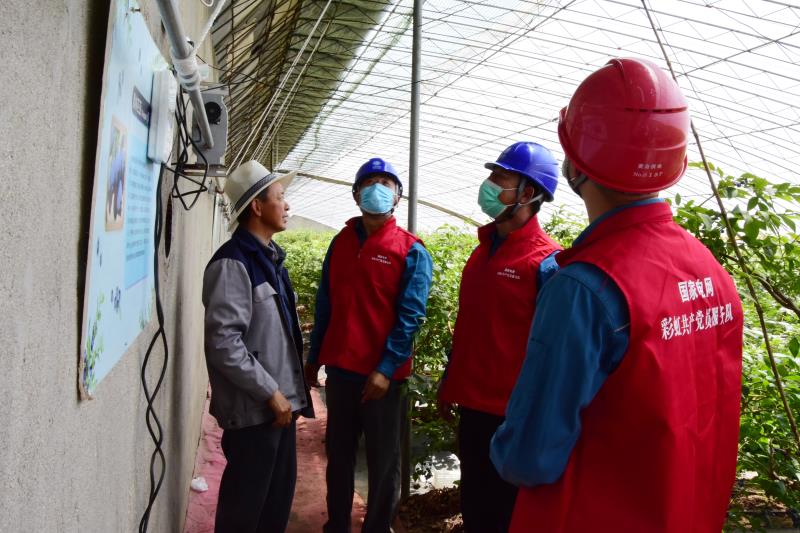 国网青岛供电公司：电“亮”乡村振兴路