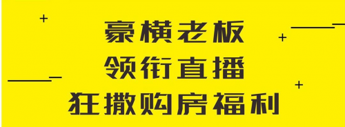 拆解「合意购房节」营销策略，合景泰富“直播卖房”玩很大