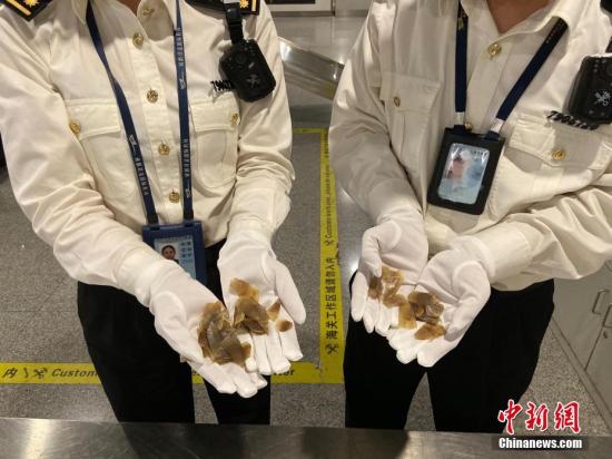 两部门就《国家重点保护野生动物名录》公开征