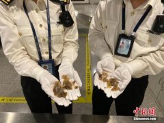 两部门就《国家重点保护野生动物名录》公开征