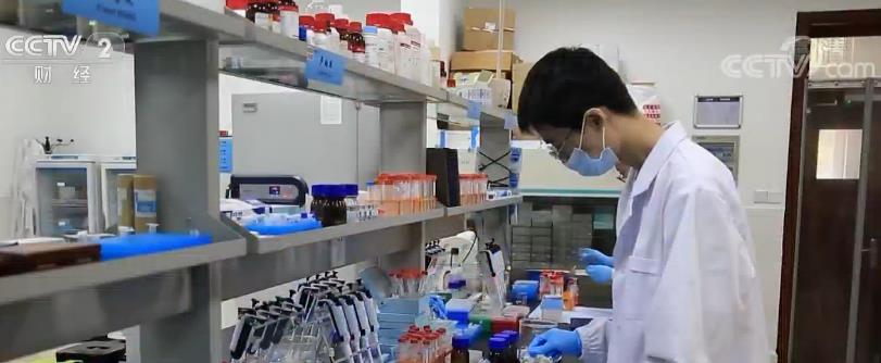 基础学科储备和培养人才的“强基计划”开始实