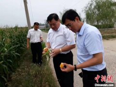 民盟中央河北广宗扶贫记：双师课堂、科技小院拔“穷根”