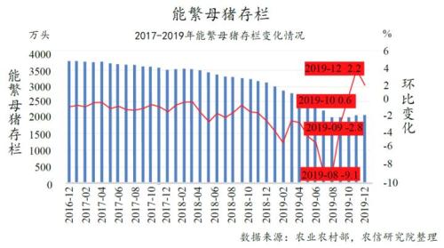 2020年我国生猪行业发展趋势分析