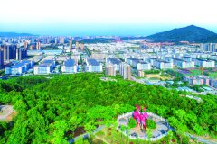 “西翼”振起千亿级产业雄风！大亚湾推动新兴