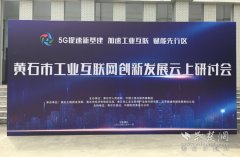 院士、大咖齐聚“云上研讨会” 畅谈工业互联网黄石机遇