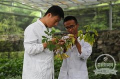 留坝“柔性”引才 打造人才高地