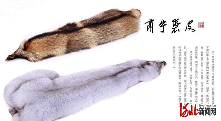 “裘皮之都”如何变身“时尚之都”？沧州肃宁县长跟您谈谈“裘皮+服装”产业经