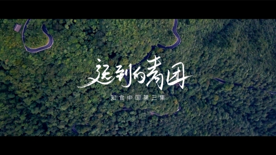 《知食中国》故事片《迟到的青团》上线：用美