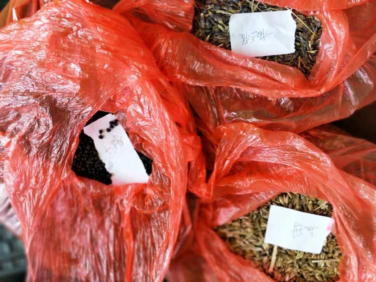 根河市金河镇积极发展中药种植产业着力打造新的经济增长点