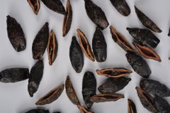 和成天下与你一起乘风破浪