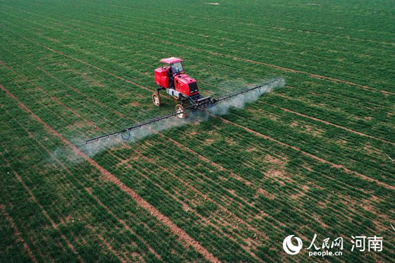 河南:守住“三农”基本盘 打赢疫情阻击战
河南省小麦已陆续进入返青-拔节期,正是春季管理的关键时期。在“豫北粮仓”河南省安阳市滑县,181万亩冬小麦历经一个冬日的锤炼,愈发坚挺粗壮,生机勃勃……【详细】