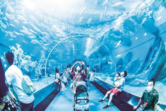 昨日，武汉海昌极地海洋公园迎来客流小高峰。游客们观看了潜水员身着古装在水中起舞、北极熊吃特制粽子等节目。楚天都市报记者李辉摄