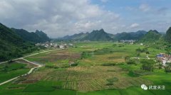 武宣通挽镇发展“一村一品”产业 助力脱贫攻坚