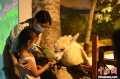 端午假期广州接待游客近390万人次 助推文旅行业