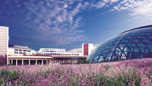 荆州文旅市场逐步回暖 端午全市接待游客20.2万人次