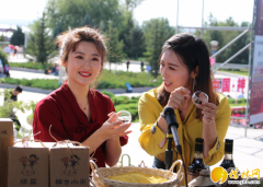 “昭君带你游神木红碱淖”旅游直播推介活动侧