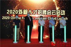 天津举办外籍人才专场云聘会