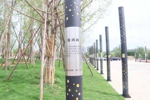 汇桔集团董事长兼CEO谢旭辉被列入中国（绵阳）