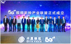 “视频彩铃终端行业标准”成功立项推动行业规范建立