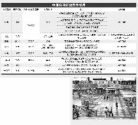 牌照格局存变数 免税行业蛋糕要做大而不是“吹大”