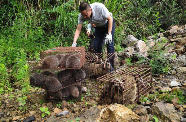 7月起,养殖业3种常见做法将全面禁止
