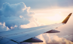 信用飞：旅游业艰难复苏，数字化加速行业格局