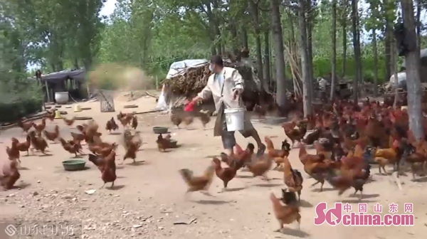 产业脱贫、健康扶贫，山东各地精准施策打赢脱贫攻坚战！