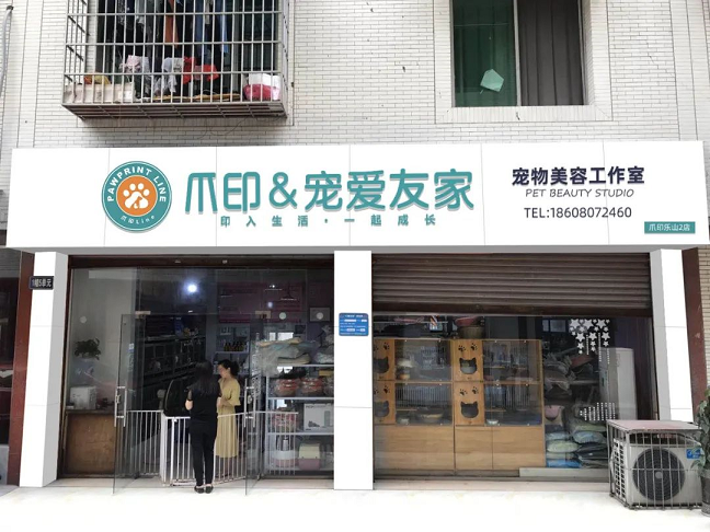 易烊千玺的喜欢的宠物行业 爪印科技助力宠物门店