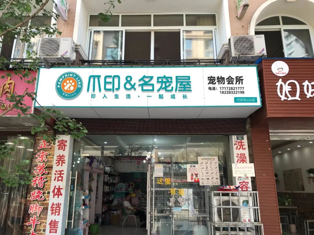 易烊千玺的喜欢的宠物行业 爪印科技助力宠物门店