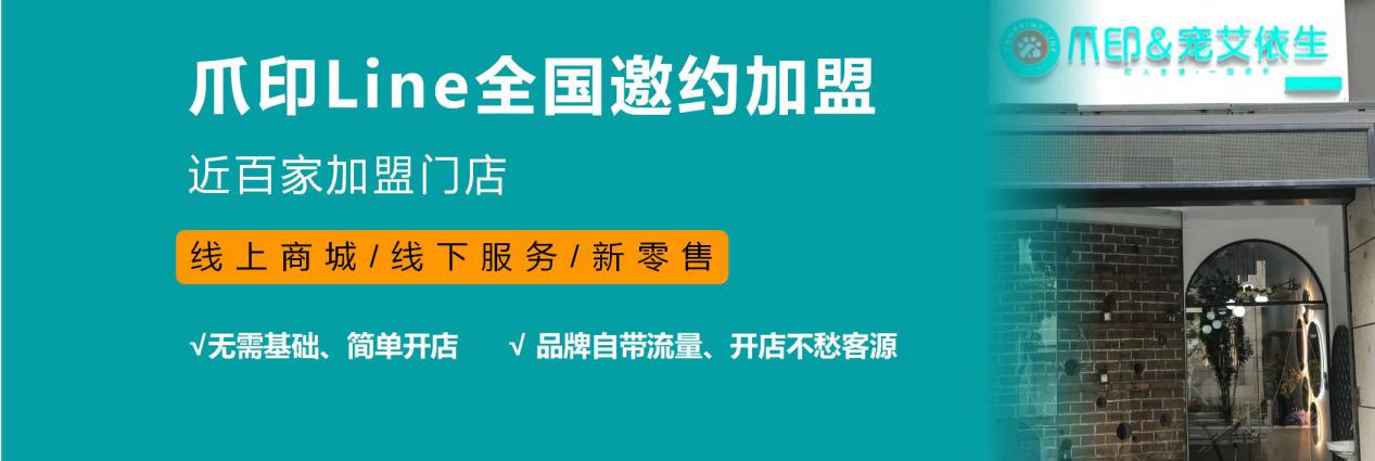 易烊千玺的喜欢的宠物行业 爪印科技助力宠物门店